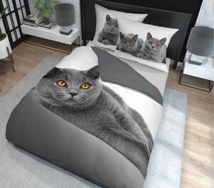 DETEXPOL Francouzské povlečení Kočka grey Bavlna, 220/200 cm, 70/80 cm