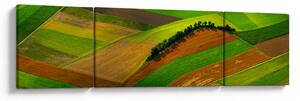 Obraz - Pole, louky (170x50 cm)