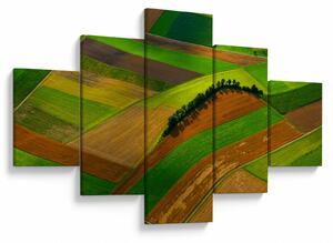 Obraz - Pole, louky (125x70 cm)