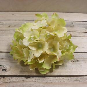 Květ hortenzie světle zelená, 6 ks 371194-15 - dia 16 x 10 cm