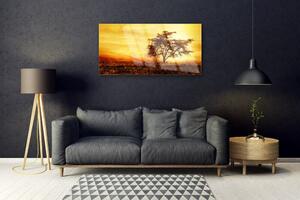 Obraz na skle Strom Příroda 100x50 cm