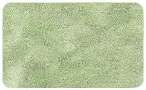 KOUPELNOVÁ PŘEDLOŽKA, 70/120 cm Esposa - Koupelnové předložky