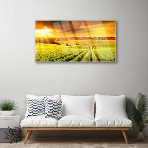 Obraz na skle Pole Západ Slunce Krajina 120x60 cm