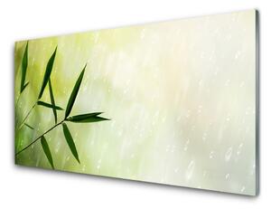 Kuchyňský skleněný panel Listy Déšť 125x50 cm