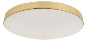 Stropní LED svítidlo Maya, 1x LED 15w, 4000k, g