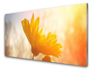 Kuchyňský skleněný panel Slunečnice 100x50cm