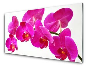 Kuchyňský skleněný panel Květiny Rostlina 140x70cm