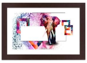 Plakát Barevný slon Barva rámu: Bílá, Velikost: 100 x 70 cm