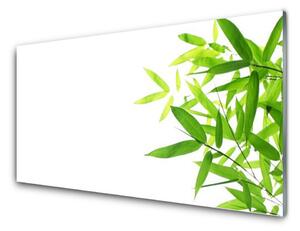 Kuchyňský skleněný panel Listy Příroda Rostlina 125x50 cm