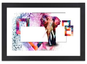 Plakát Barevný slon Barva rámu: Hnědá, Velikost: 100 x 70 cm