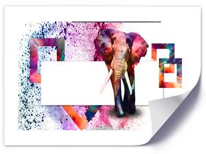 Plakát Barevný slon Barva rámu: Hnědá, Velikost: 100 x 70 cm
