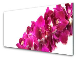 Kuchyňský skleněný panel Květiny Rostlina Příroda 140x70cm