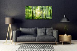 Obraz na skle Les Příroda 120x60 cm