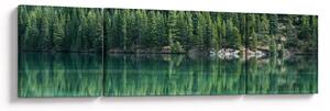 Obraz - Jehličnany u jezera (170x50 cm)