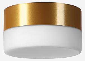 Lucis Stropní LED svítidlo NOMIA 9,6W, Ø 14 cm, IP40 Barva: Zlatá, Stmívání, řízení: bez stmívání, Chromatičnost: 3000K