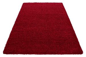 Ayyildiz Kusový koberec DREAM 4000, Červená Rozměr koberce: 80 x 150 cm