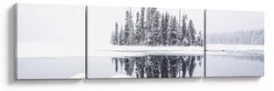 Obraz - Bylo bílo (170x50 cm)