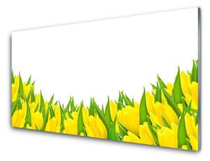 Obraz na skle Květiny Příroda Tulipány 100x50 cm