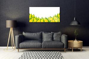 Obraz na skle Květiny Příroda Tulipány 140x70 cm