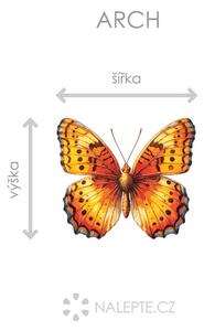 Oranžový motýl arch 45 x 39 cm