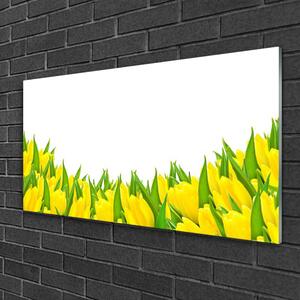 Obraz na skle Květiny Příroda Tulipány 100x50 cm