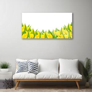 Obraz na skle Květiny Příroda Tulipány 125x50 cm