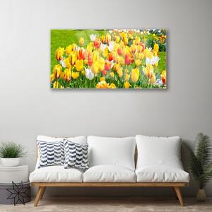 Obraz na skle Tulipány Květiny Příroda 100x50 cm