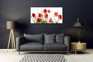 Obraz na skle Máky Květiny Příroda 120x60 cm