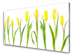Skleněné obklady do kuchyně Žluté Tulipány Květiny 140x70 cm