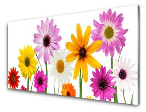 Skleněné obklady do kuchyně Barevné Květiny Příroda 125x50 cm
