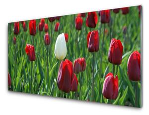 Skleněné obklady do kuchyně Tulipány Květiny Příroda 140x70 cm