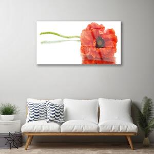Plexisklo-obraz Květiny Příroda 100x50 cm