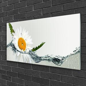 Obraz na skle Sedmikráska ve Vodě 120x60 cm