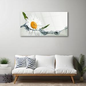 Obraz na skle Sedmikráska ve Vodě 100x50 cm