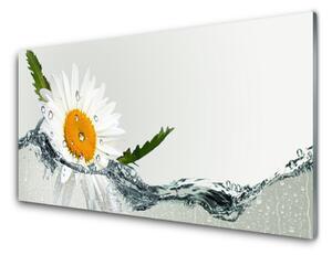 Obraz na skle Sedmikráska ve Vodě 100x50 cm