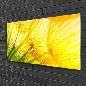 Obraz na skle Pampelišky Květiny Příroda 140x70 cm