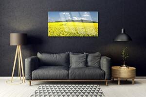 Obraz na skle Pole Louka Příroda Řepka Olejka 100x50 cm