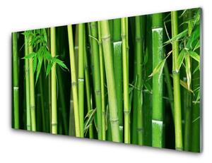 Skleněné obklady do kuchyně Bambusový Les Bambus Příroda 140x70 cm