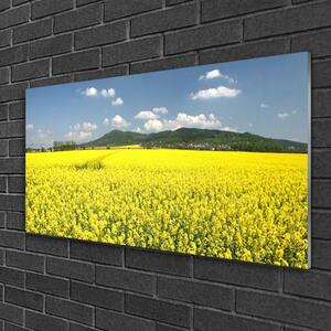 Obraz na skle Pole Louka Příroda Řepka Olejka 125x50 cm