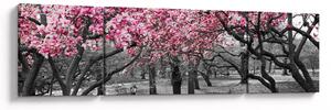 Obraz stromů Magnolíie (170x50 cm)