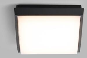 LED2 QUADO S, A STROPNÍ ANTRACITOVÉ IP54 5130834