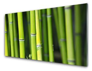 Kuchyňský skleněný panel Bambus Příroda Rostlina 125x50 cm