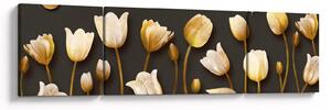 Obraz - Tulipány - abstraktní (170x50 cm)