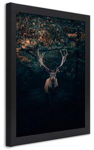 Plakát Jelen v křoví Barva rámu: Černá, Rozměry: 20 x 30 cm