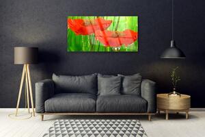 Obraz na skle Máky Rostlina Příroda 120x60 cm