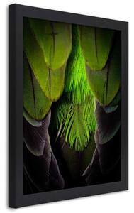Plakát Zelené peří Barva rámu: Bez rámu, Velikost: 20 x 30 cm