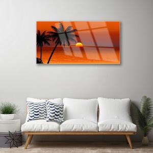 Obraz na skle Palma Moře Slunce Krajina 100x50 cm