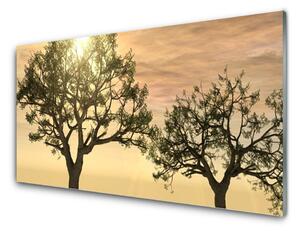 Kuchyňský skleněný panel Stromy Příroda 125x50 cm