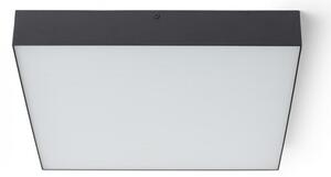 LARISA SQ 40 stropní černá 230V LED 50W 3000K - RED - DESIGN RENDL