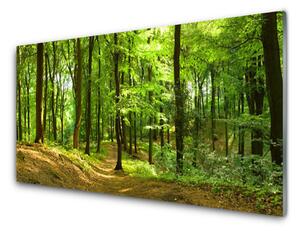 Kuchyňský skleněný panel Les Příroda 120x60cm